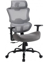   EVOLUTION ZenFoam ()