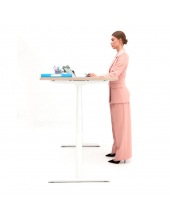 WD� Flagman (����� ����, ������)