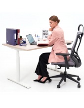 WD� Flagman (����� ����, ������)