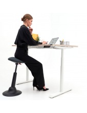 WD� Flagman (����� ����, ������)