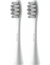     OCLEAN P1S12 W02    (2 , )