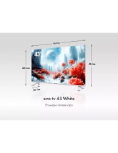 tv 43 White