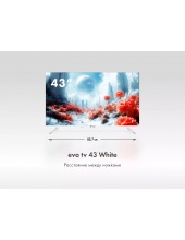 tv 43 White