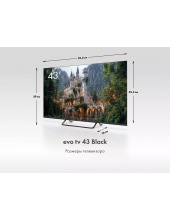 tv 43 Black