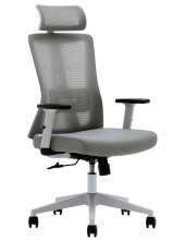   EVOLUTION ErgoLine 3 ()