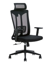   EVOLUTION ErgoLine 4 ()