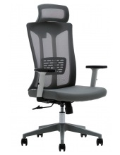   EVOLUTION ErgoLine 4 ()