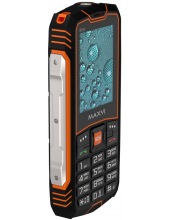 R10 (������/���������)