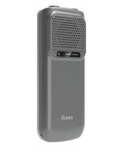 P33 (�����)