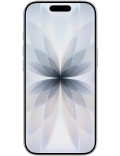 iPhone 17 8GB/256GB MG6K4HN/A ()