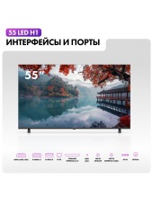 55 LED H1 DH1ZS0M00RU