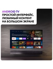 65 MiniLED M4 DH1ZK1D00RU