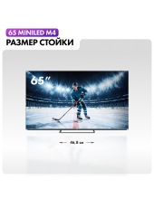 65 MiniLED M4 DH1ZK1D00RU