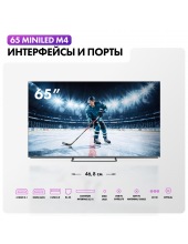 65 MiniLED M4 DH1ZK1D00RU