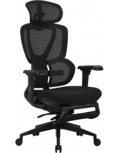   EVOLUTION LX 2 Fabric ()