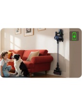 PURE ONE S30 (VA200900RU)