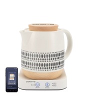  POLARIS PWK 1538CC WIFI IQ Home ()