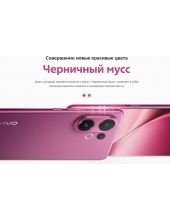 V60 5G 12GB/512GB (черничный мусс) V60 5G 12GB/512GB (черничный мусс)