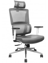 APHRODITE A GREY chrome ( Grey / Grey)