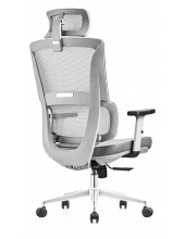 APHRODITE A GREY chrome ( Grey / Grey)