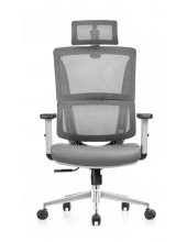   SITUP APHRODITE A GREY chrome ( Grey / Grey)