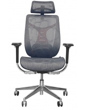   SITUP BARRACUDA hrome ( Dark Gray/ Dark Gray)