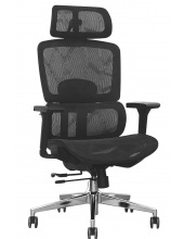 GARFILD LUX BLACK chrome ( Black/ Black)