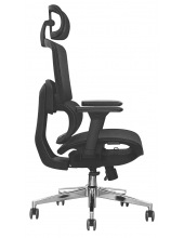 GARFILD LUX BLACK chrome ( Black/ Black)