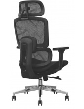 GARFILD LUX BLACK chrome ( Black/ Black)