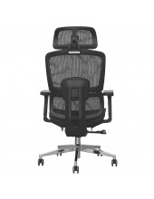 GARFILD LUX BLACK chrome ( Black/ Black)