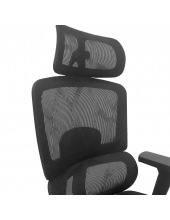 GARFILD LUX BLACK chrome ( Black/ Black)