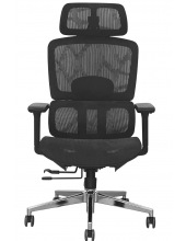   SITUP GARFILD LUX BLACK chrome ( Black/ Black)