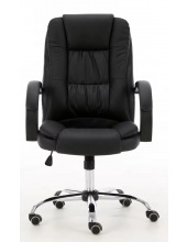 RAPID chrome ( Black/Black)