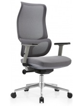   SITUP SAKURA GREY chrome ( Grey/ Grey)