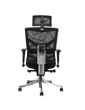 VIKING BLACK chrome ( Black/Black)