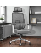 CARBON WHITE chrome ( Grey/Grey)