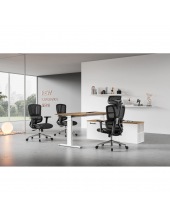 PALMA BLACK chrome ( Black/Black)