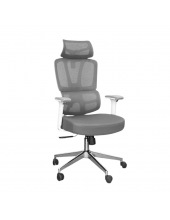 PALMA WHITE chrome ( Grey/Grey)