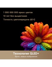Mega QLED 4K 100Q100