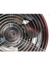 �� 50�� (177656)