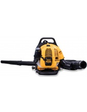 ������������ CHAMPION GBR333