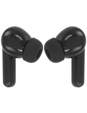 TH300 MH22203 (������)