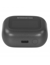 TH300 MH22203 (������)