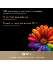 Aura Mini LED 4K 55S100