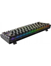 Fizz 71737 (����������/������)