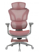   EVOLUTION LX 3 Burgundy ()