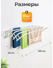 RIO 100