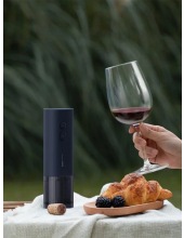 Electric Wine Opener QWKPQ001, (�����)