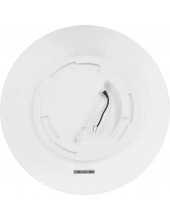 Smart Ceiling Light D30 BHR9934GL (9290041706)