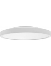 Smart Ceiling Light D30 BHR9934GL (9290041706)